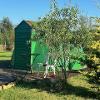 Glamping Dome - outside